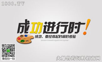 經(jīng)銷(xiāo)商成功營(yíng)銷(xiāo)的三個(gè)標(biāo)準(zhǔn)與落地實(shí)踐